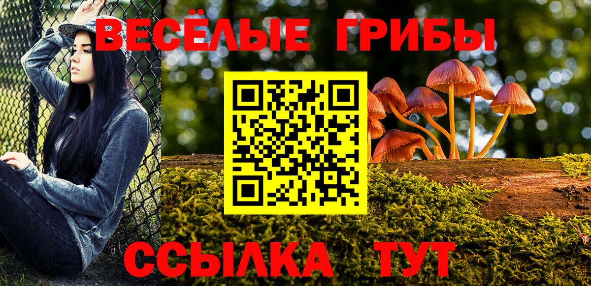 Курск  Псилоцибиновые грибы Psilocybine cubensis  Вход с VPN 